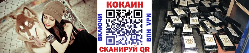 наркотики  darknet наркотические препараты  COCAIN FishScale  Павловск 