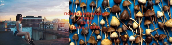 гашиш Белоозёрский