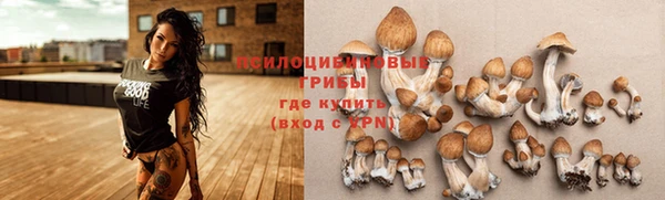 дистиллят марихуана Белокуриха