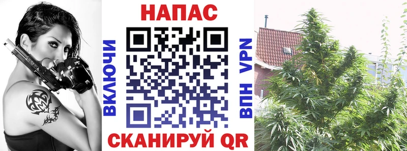 Бошки марихуана планчик Павловск